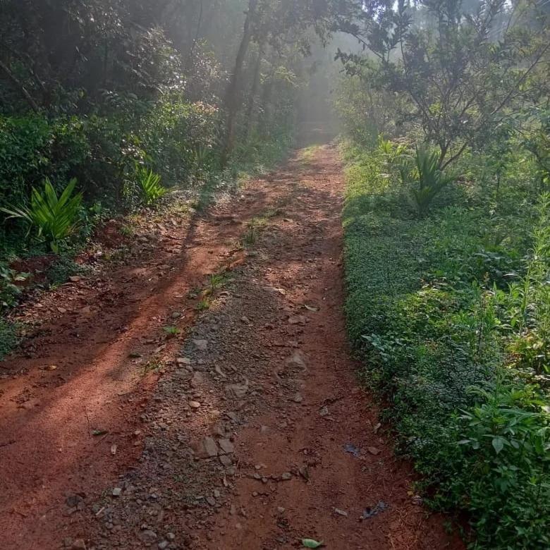 Coorg Coffee Park Farmstay Somvārpet Exterior foto