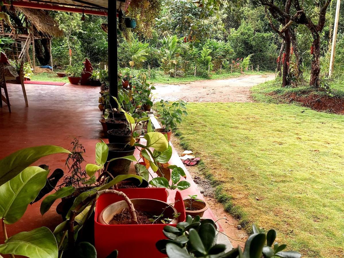 Coorg Coffee Park Farmstay Somvārpet Exterior foto