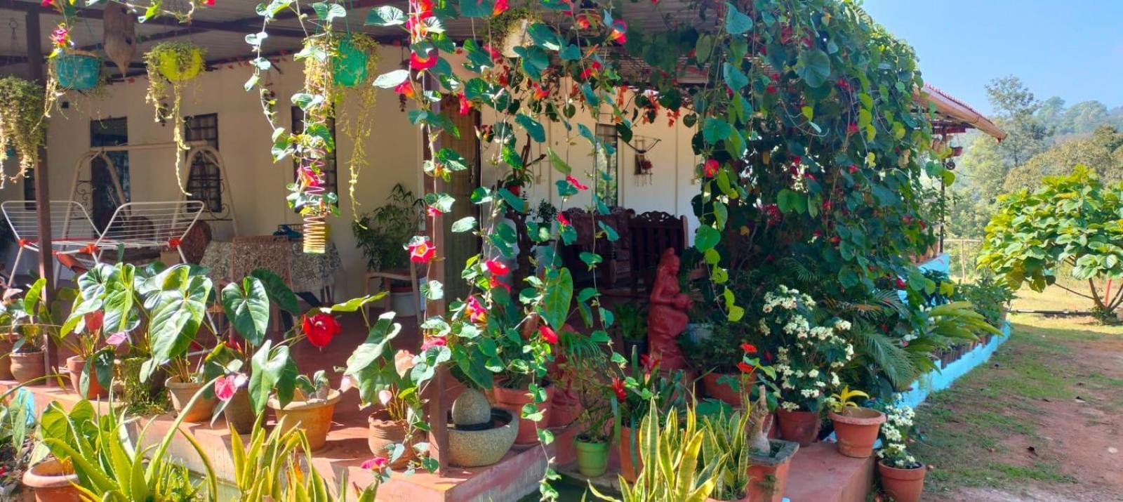 Coorg Coffee Park Farmstay Somvārpet Exterior foto