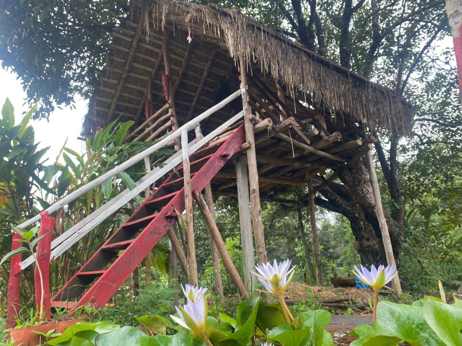 Coorg Coffee Park Farmstay Somvārpet Exterior foto